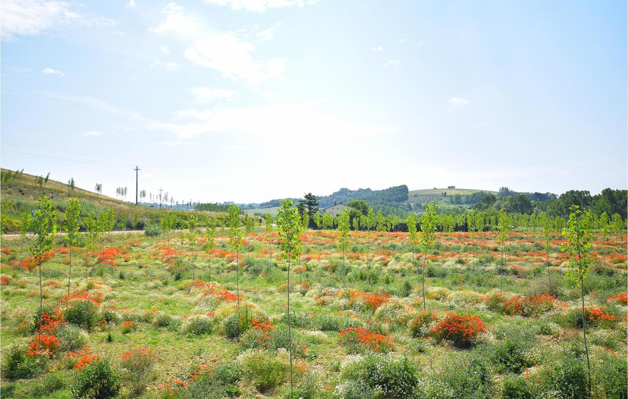 Awesome Home In Montefoscoli With Wifi Luaran gambar